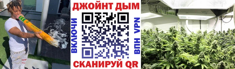 Каннабис планчик Поворино